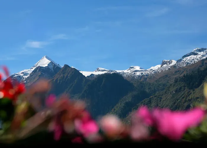 Casa de hóspedes Katharina's Sleepover - Budget